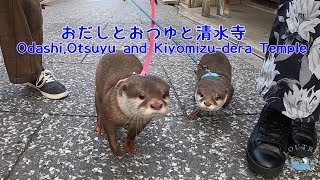 おだしとおつゆと清水寺　Odashi,Otsuyu and Kiyomizu-dera Temple