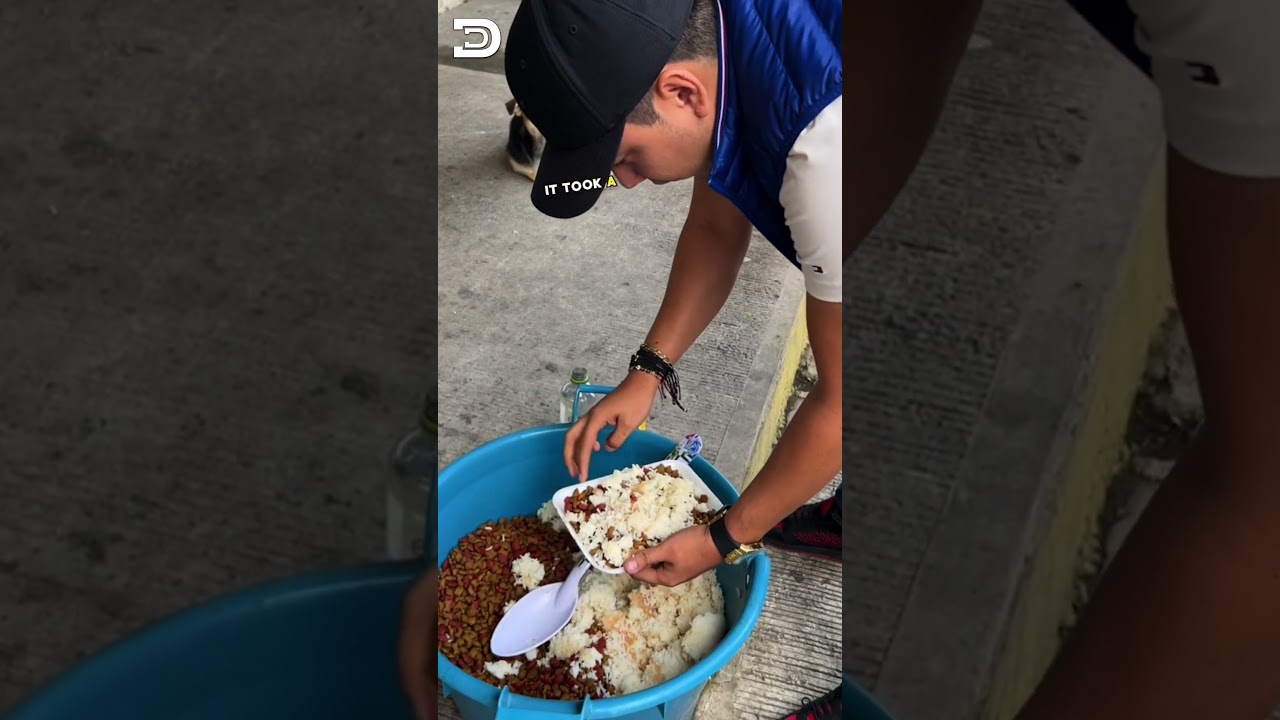 Heartwarming Act of Kindness: Man Feeds Stray Dogs a Feast!