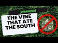 This Vine Replaced an Entire Garden.  It Was Banned in 35 States.