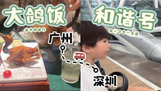 🇨🇳广州米其林餐厅【大鸽饭】便宜实惠量大，乳鸽真的一绝！坐和谐号从广州到深圳，第一次尝试一等座，太舒服了，还有送零食和水