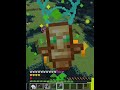 minecraft me VS warden