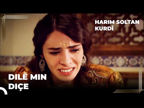 Mahidevran Poşman Dibe Ku Alexandra û Süleyman Ne Bi Hev Re Re | Harim Soltan Kurdî Part