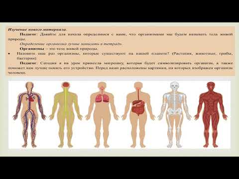 Разбор урока по биологии (5 класс) по теме "Организм-единое целое"