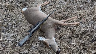 Savage Stevens bolt action model 334 deer rifle. Hunting on the river late season 