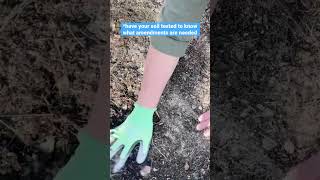 How To Prep Garden Beds For Winter