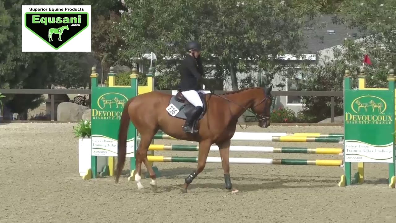 Moon OTTB (for sale) YouTube