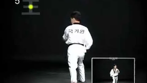 Taeguk O Chang (en espaol) - V TAEGUK - Tae Kwon-Do