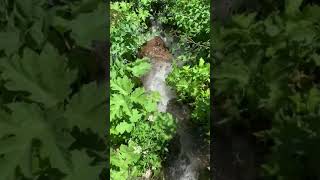 Luminous Life - Founders Launch