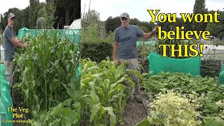 4yrs on the plot; Finally the answer.