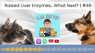 Raised Liver Enzymes...What Next? | #49