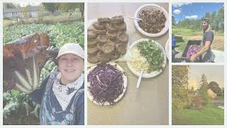 De La Mesa Farms LLC photo 6