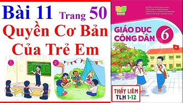 Giáo Dục Công Dân 6 Bài 11 | Quyền Cơ Bản Của Trẻ Em | Trang 50 – 54 | Kết Nối Tri Thức