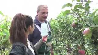 Gärtner Sönke - Folge 15 Spalieräpfel