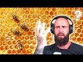 Christian reacts to Honeybees (MIRACLE of the QURAN)