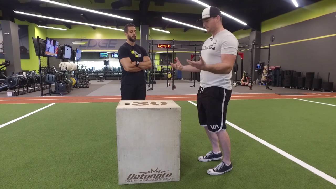 How to Box Jump?  Physio Performance