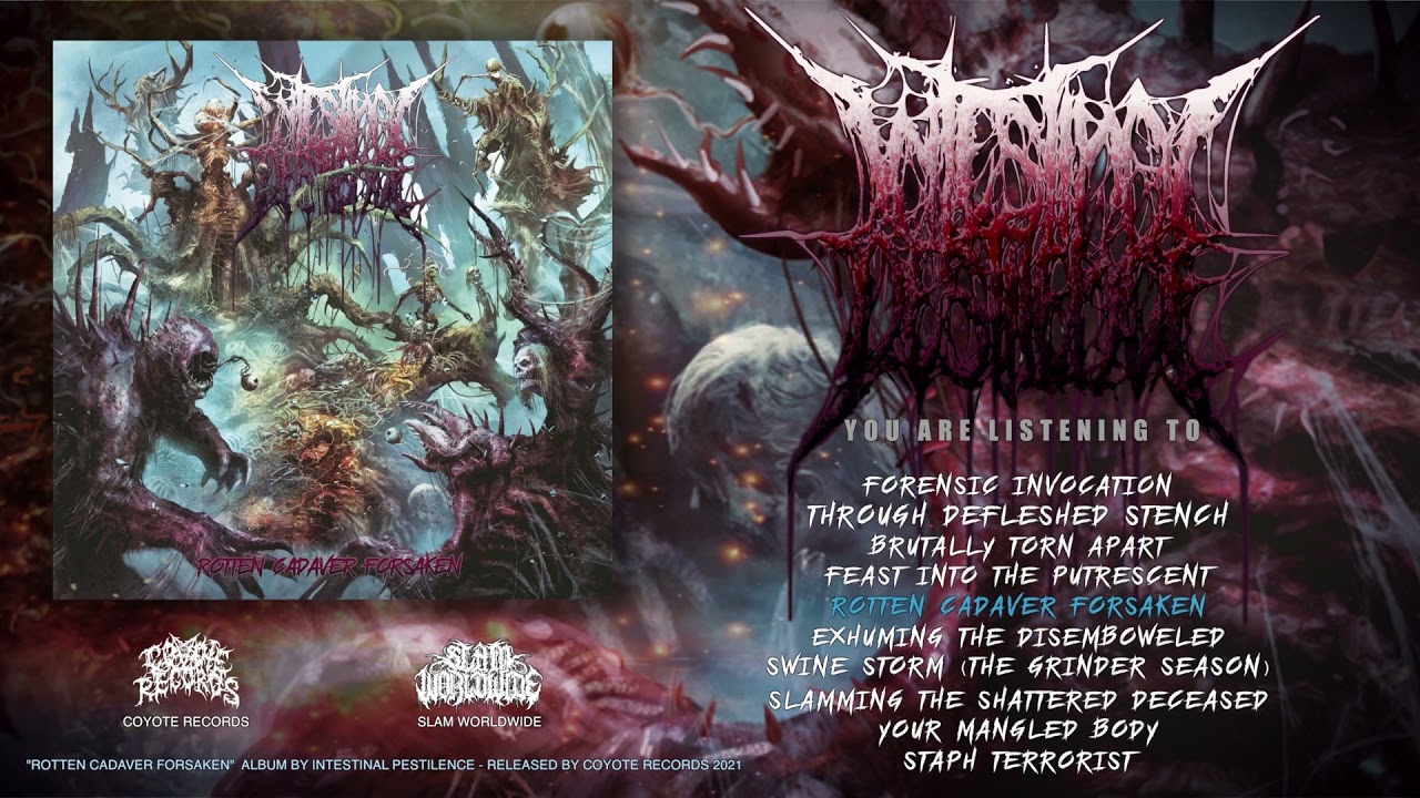 【中古】 Mortal Intestines Deacay INTESTINAL PESTILENCE - ROTTEN CADAVER FORSAKEN [OFFICIAL