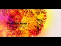 holi wish || created landing page using html &Css ||with source code