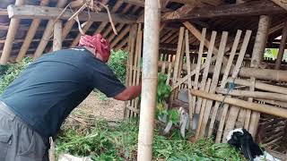 Dadi tukang ngarit