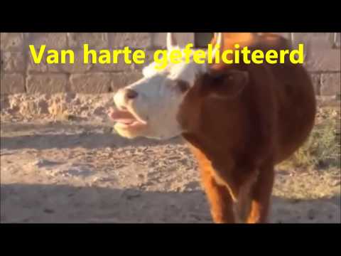 Van harte gefeliciteerd