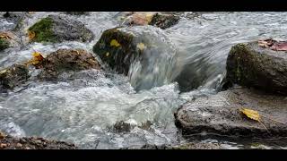 Full Little Cypress Creek Update