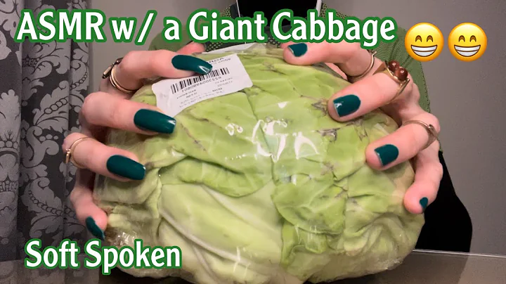 ASMR * Giant Cabbage!! * Fast Tapping & Scratching * Crunching * Soft Spoken * ASMRVilla