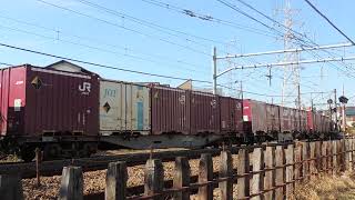 3064レ EF66 128+コキ24B