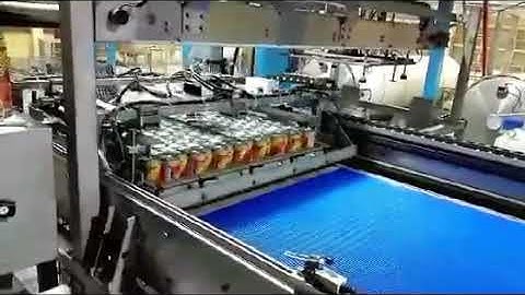 basket unloader machine& can gripper elevator conveyor