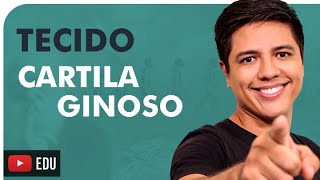 TECIDO CARTILAGINOSO - HISTOLOGIA HUMANA - Prof. Kennedy Ramos