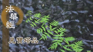 【靜思妙蓮華】法華經見寶塔品 - 平等大慧 教菩薩法 - 20221011 第1260集