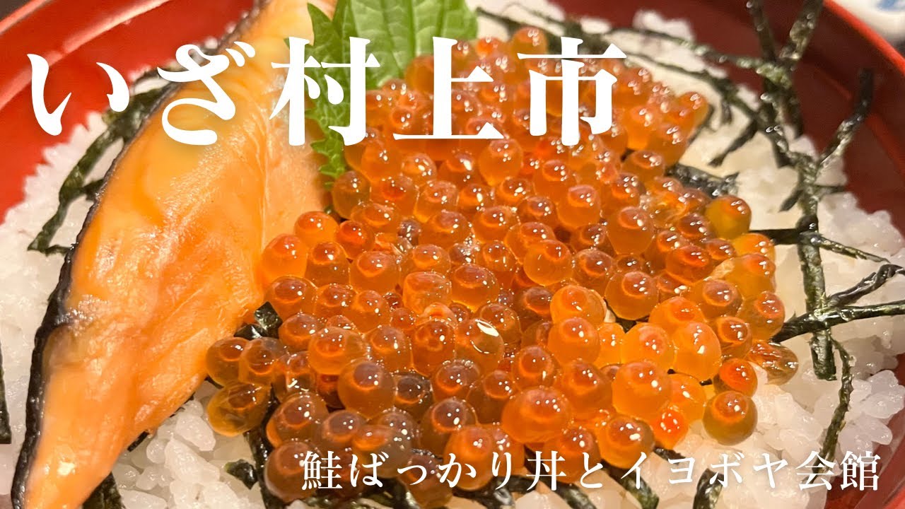 新潟県村上市／漁港の食堂で刺身定食を味わい、飲食店で名物のイクラを堪能。サケの水族館で生態に触れ、最後は人気のラーメン。道の駅の温泉にも立ち寄りました