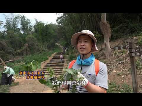 本市外來入侵植物辨識簡介-小花蔓澤蘭