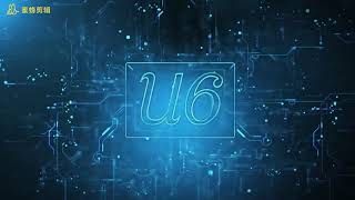 Woodpecker U6 Piezo Scaler