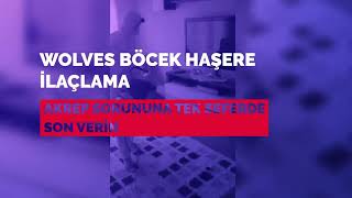 Akrep İlaçlama ☎️ 05427331483 Wolves Böcek Ve Haşere İlaçlama