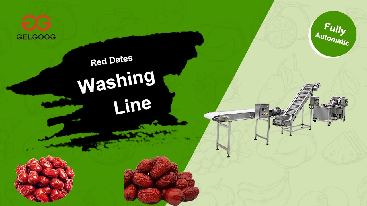 Dates Washing and Drying Machines/ Automatic Date Fruit Washer and ...