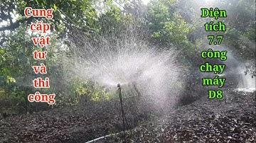 Cung cấp vật tư và thi công lắp đặt hệ thống tưới diện tích 7.7 công chạy máy D8 #quyetbectuoi