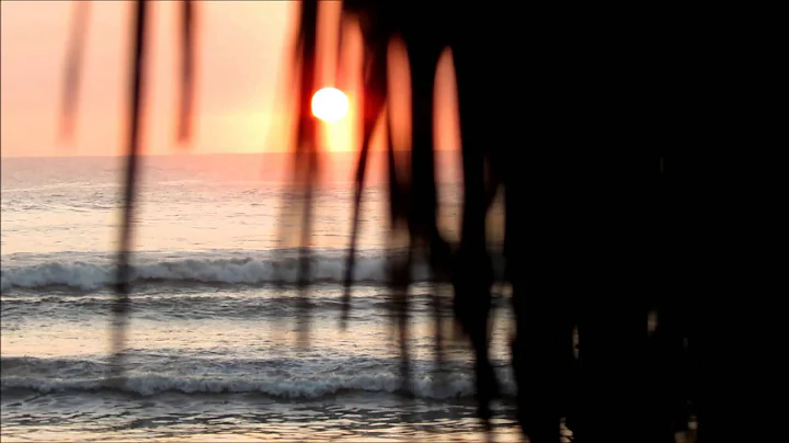 Short films of Surfing - Carlos Sidia