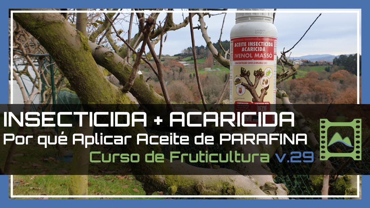 POR QUÉ aplicar aceite de PARAFINA ❄ INVIERNO Curso básico de FRUTICULTURA 2020: Capítulo 29 | LdN