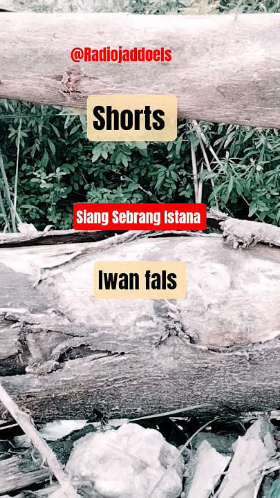 Siang Sebrang Istana - Iwan fals #shorts #nostalgia #lagu #popular @Radiojaddoels