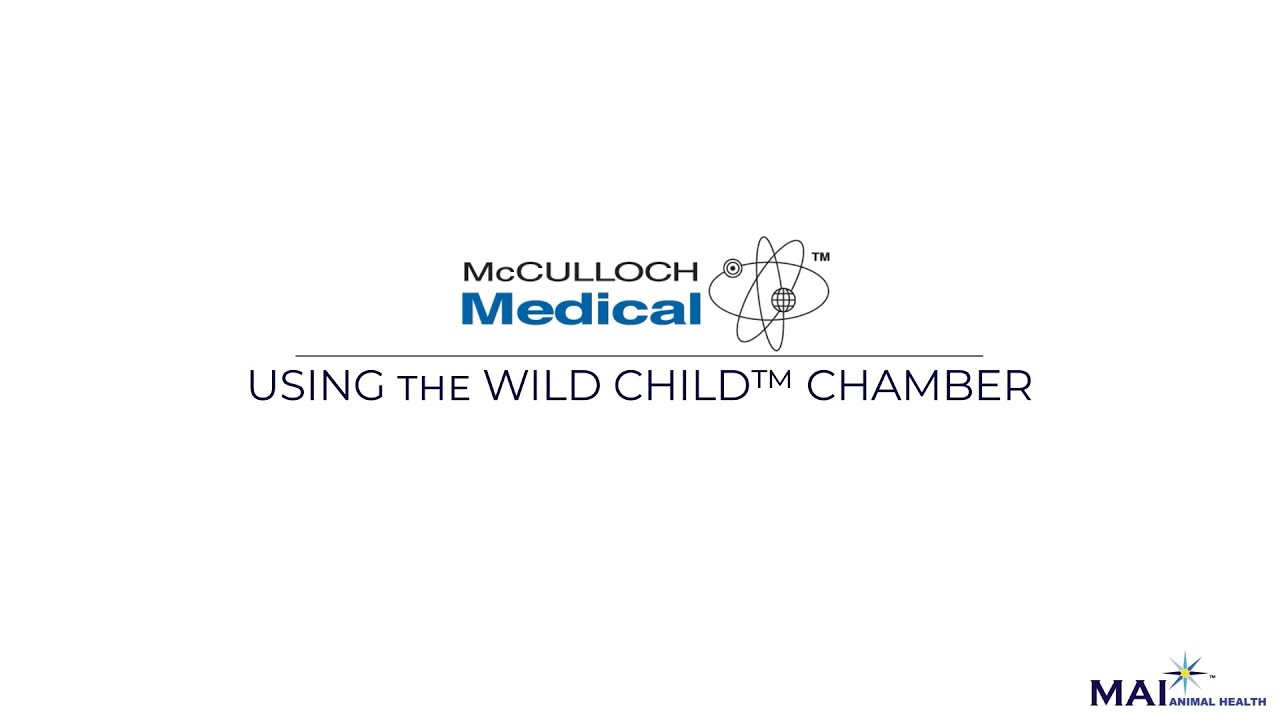 How to Use the Wild Child™ Veterinary Anesthesia Chamber | Safe & Humane Induction Guide