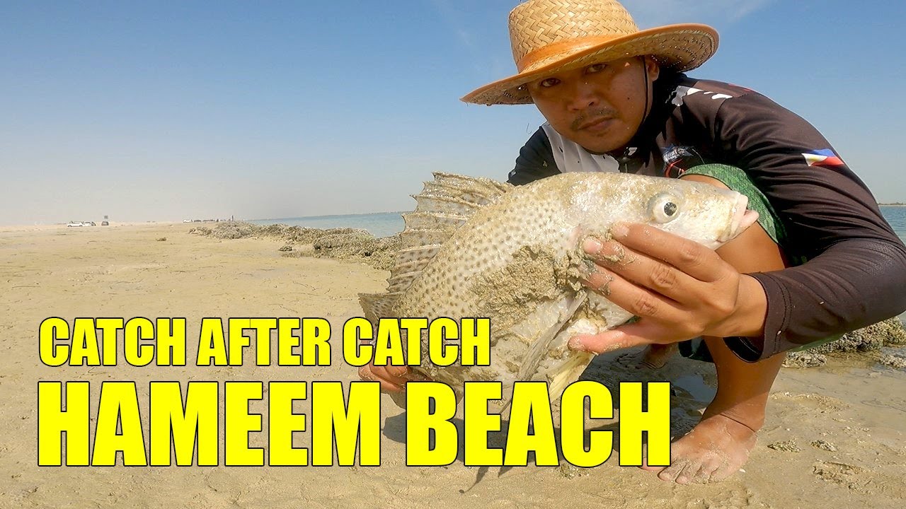 Don't Go To Hameem Beach Fishing When It Is High Tide!