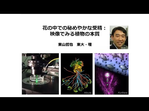 第6期 "感謝の集い" 東大東山哲也先生講演『花の中での秘めやかな受精：映像でみる植物の本質』 - 大隅基礎科学創成財団