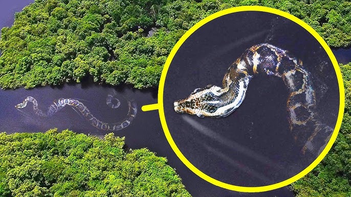 Yana Dobryden jinsiy aloqa Qamoqxonada jinoyatchilar tomonidan sikilgan ayollar suratlari