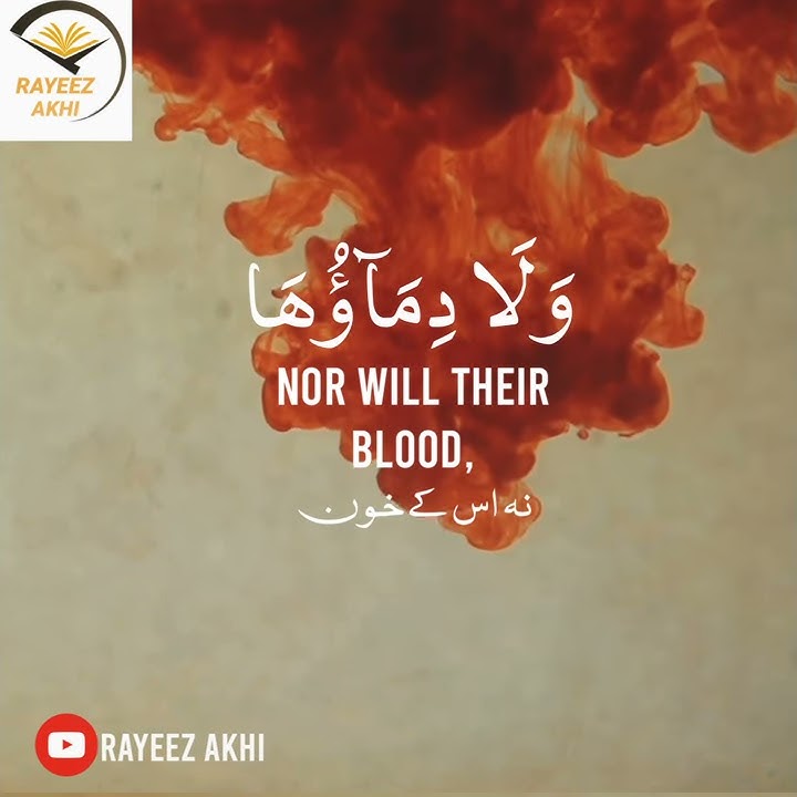 |😍♥️Surah Al Hajj 22:37 | Their meat will not reach Allah nor their blood  except their taqwa ♥️😍|