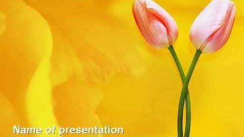Tulip On A Yellow PowerPoint Template by PoweredTemplate.com