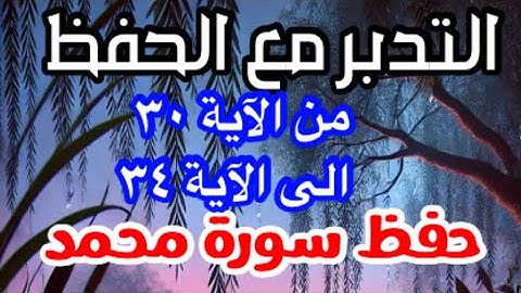 احفظ معنا سورة محمد الآيات ٣٠ الى ٣٤