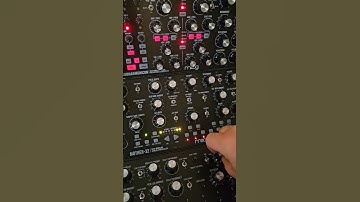 Subharmonicon + DFAM + Mother 32 #moog #dfam #modularsynth #analog #semimodular #thingsofbeauty