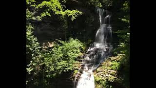 Cathedral Falls