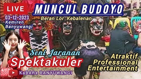 LIVE Jaranan Muncul Budoyo Hari ini Live Desa Adat Using Kemiren #jarananindonesia #topviral #top5