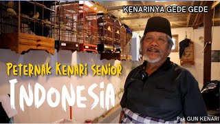 SANG LEGEND...!! Menjadi Peternak Kenari Selama 28 Tahun Tanpa Henti | INI RAHASIANYA