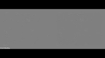 F7-2(KNK808v2-4ng)Fiduciary-free frame alignment and image stabilization (left: raw, right: aligned)